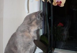 10247363 10152133836086989 2637080725994839839 n