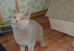 10254041 279153028929363 690738403433285908 n