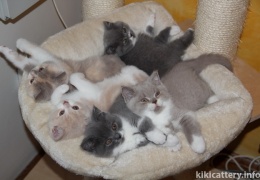 20151115171250-df6f3ae6-me