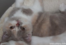 20151115171253-3005902d-me