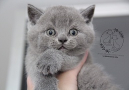 99010824 536376867050488 959975948579504128 n