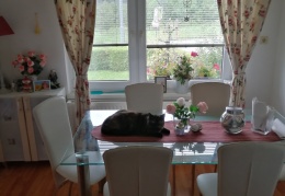 121027508 3520634098027476 3806025675893775396 n