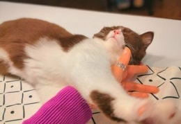 123093811 266592744784940 4782119355426130986 n