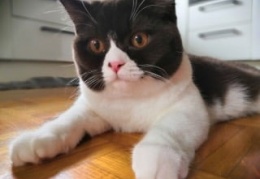 123089653 373342677439021 6524141297838452888 n