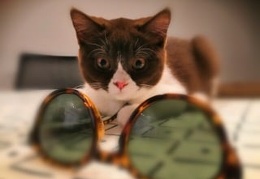 120761423 683588242288604 3068834233757854096 n