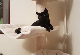 106508033 691767918273089 9055503710927857301 o