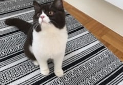 120893250 1038573066576067 5128914042307135428 n