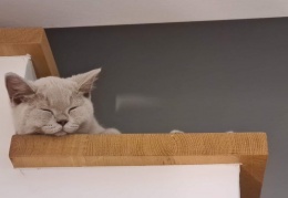 120598936 324692718797167 4751771750285790727 n