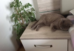 73246768 1414942808653112 7209599078785613824 n