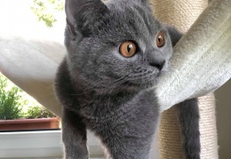 66671966 371587836877967 5382304817500651520 n