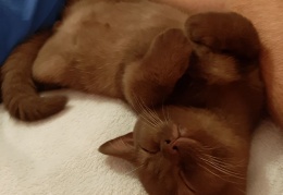 72669240 545542799551926 8173653180417048576 n