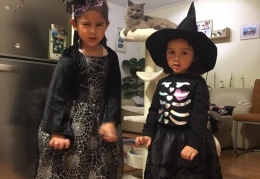 75226313 712846845790506 4792241869411057664 n