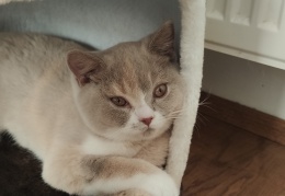 IMG 20200330 174935 2