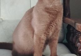 IMG-f9c0de43b7bc3eb7b40889b57a55506f-V