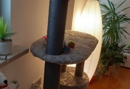 72570638 2068844053215664 943033114345603072 n