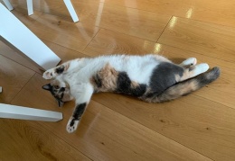 67833596 2370127989745920 9035323220286242816 n