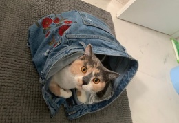 67897751 2278394352472653 4345007380145111040 n